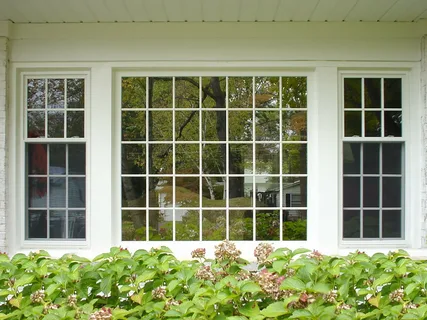 window replacement near me Algonquin