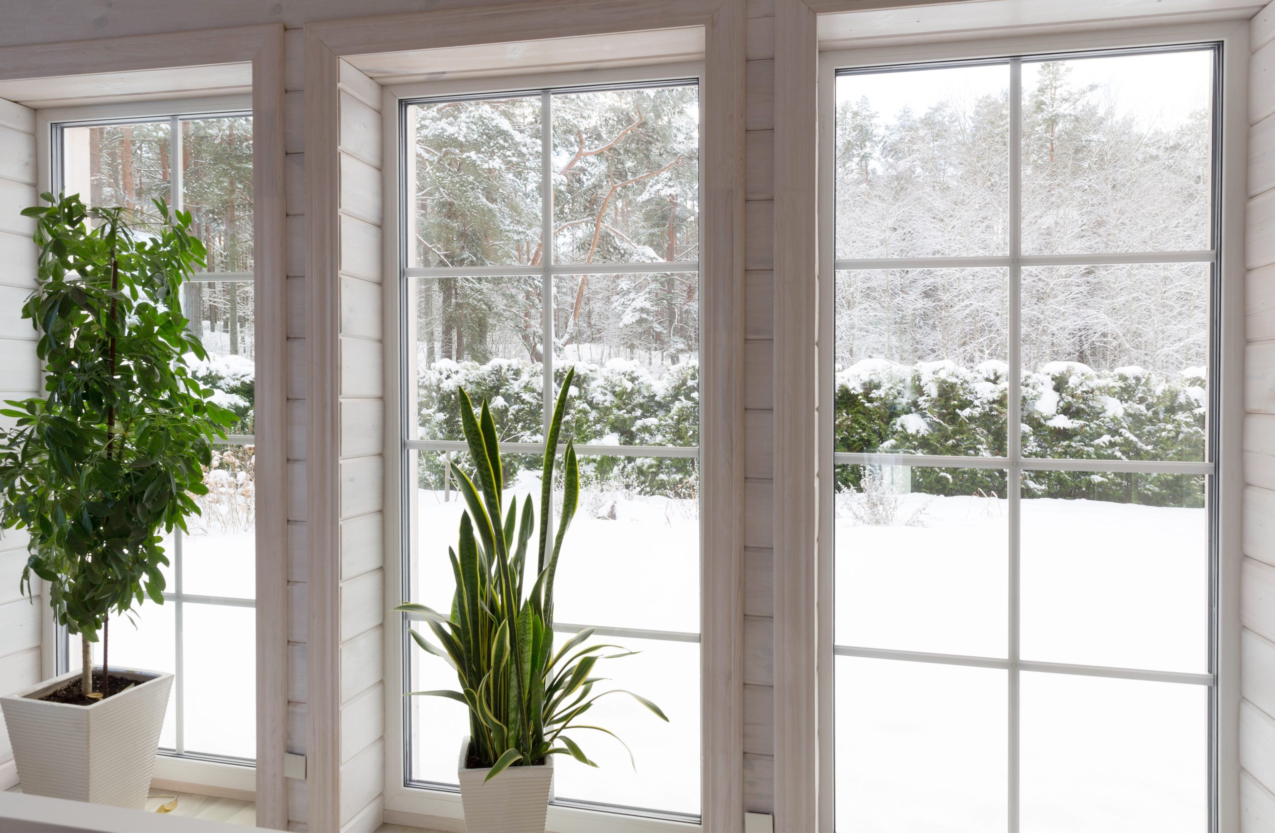Window Installation Near Me