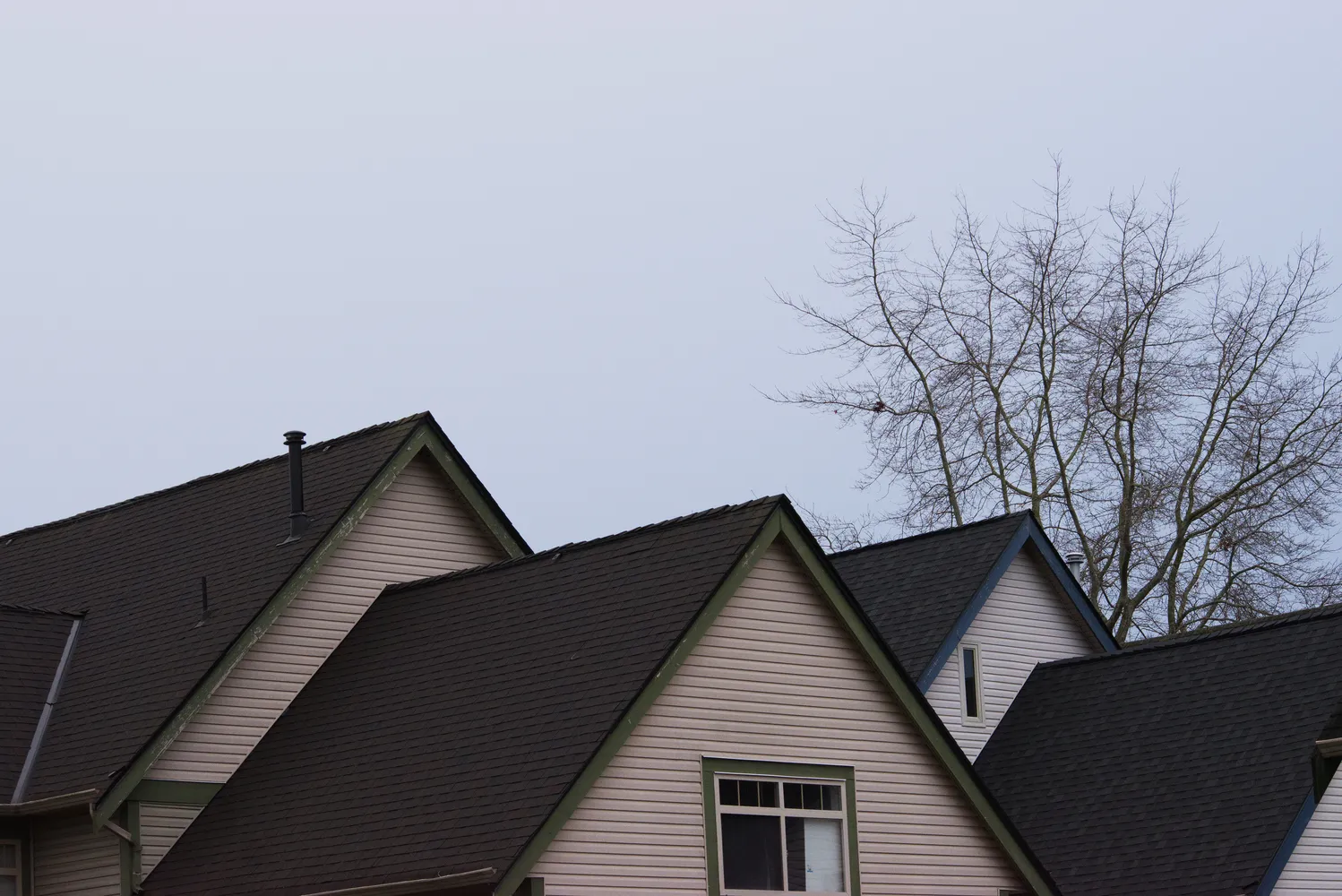 Roof Repair Near You | JJ Construction Ent Inc.