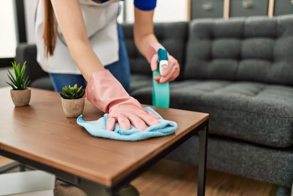 Cleaning Services Near Me Naperville | EURO CLEAN
