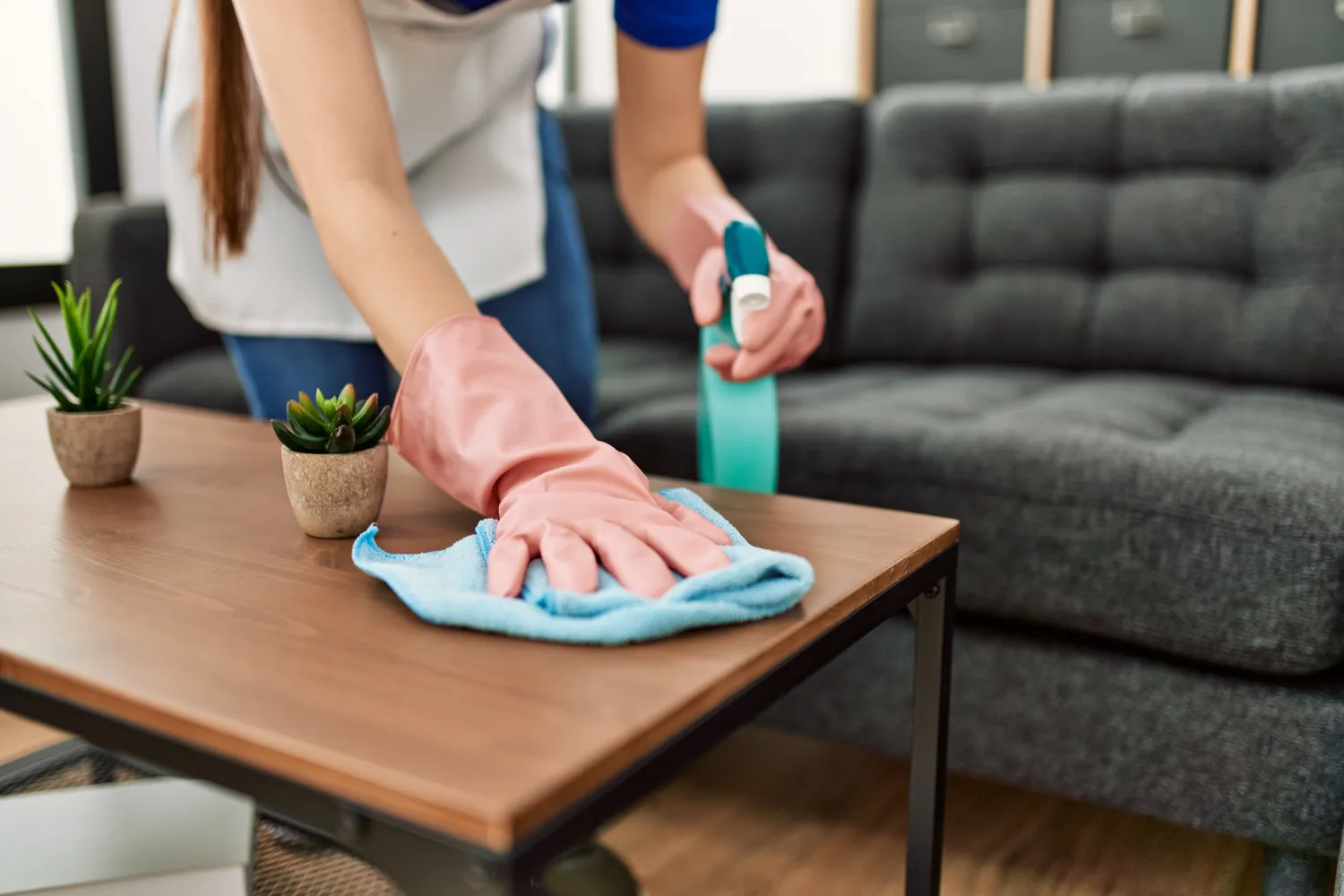 Cleaning Services Near Me Naperville | EURO CLEAN