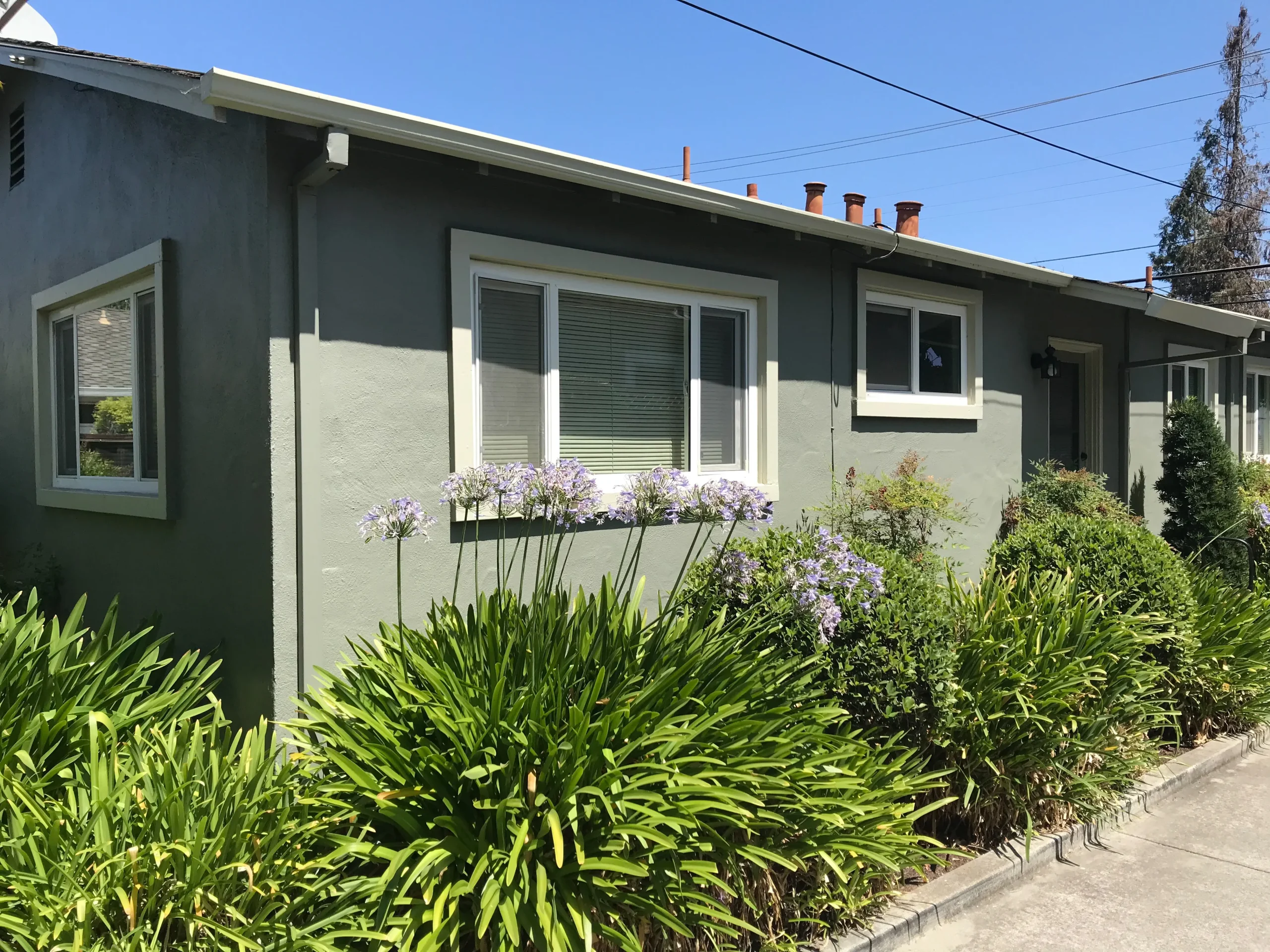 Stucco Repair Near Me